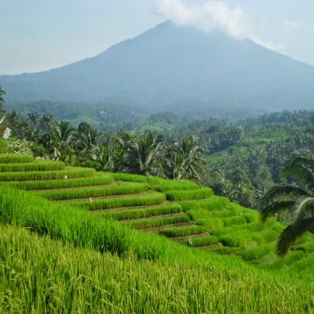Panorama Alam Potensi Wisata Desa 